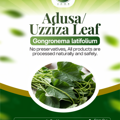 Dehydrated Adusa / Uziza Leaves