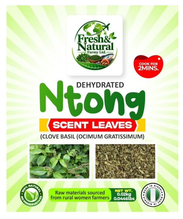NTONG 20g_020431.jpg - Copy Dehydrated Ntong (Scent Leaves / Clove Basil) β 20g
