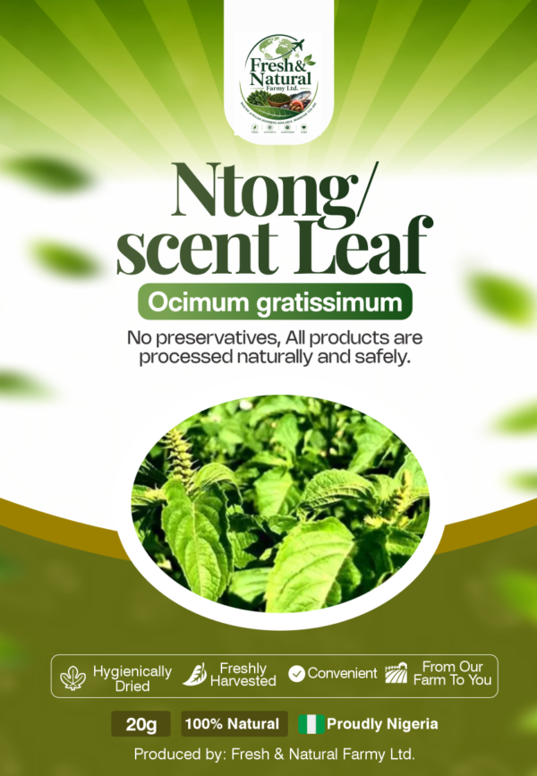 Dehydrated Ntong / Scent Leaf